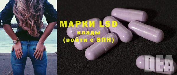 винт Новозыбков