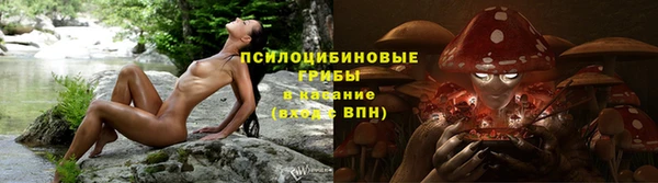 MESCALINE Новодвинск