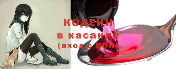 прущие грибы Алзамай