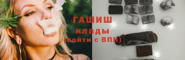 прущие грибы Алзамай