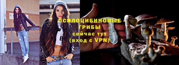 прущие грибы Алзамай