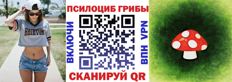 Галлюциногенные грибы GOLDEN TEACHER  Махачкала 