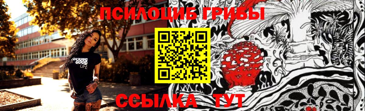 Галлюциногенные грибы Psilocybine cubensis Махачкала