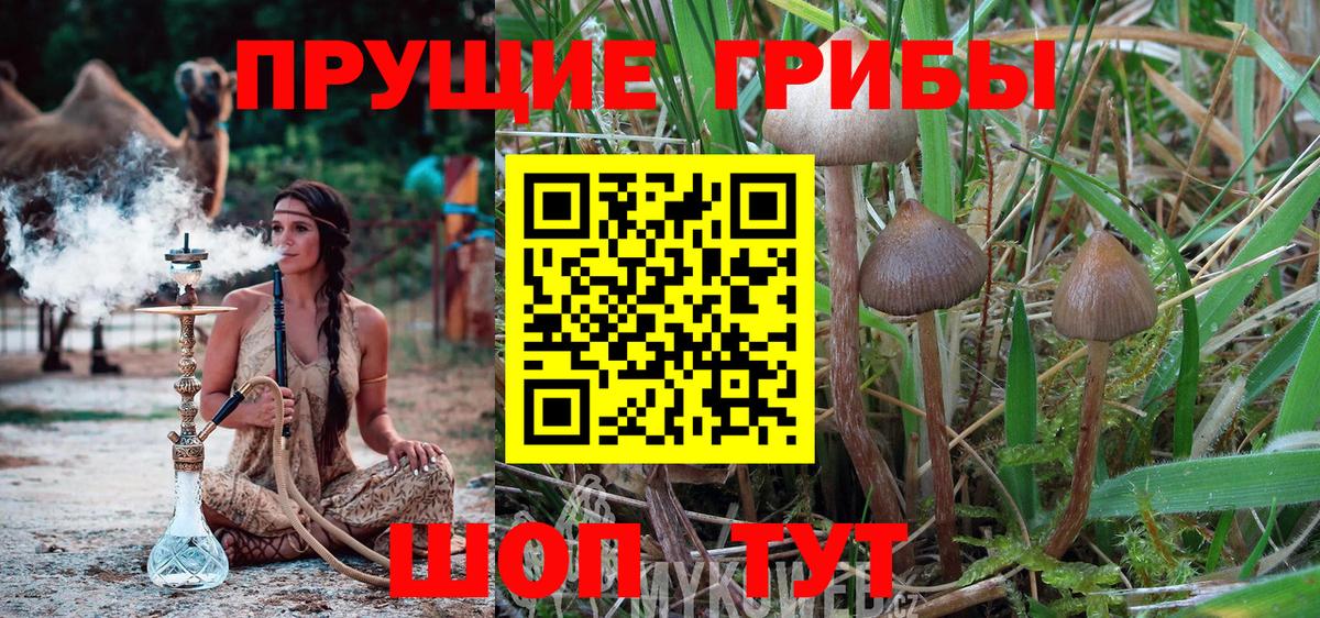 Галлюциногенные грибы ЛСД  Вход с VPN  Махачкала 