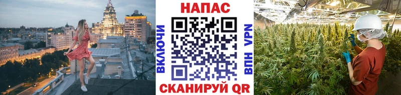 Каннабис гибрид  цены наркотик  Махачкала 